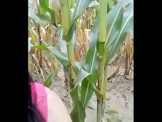 masturbate on the field More